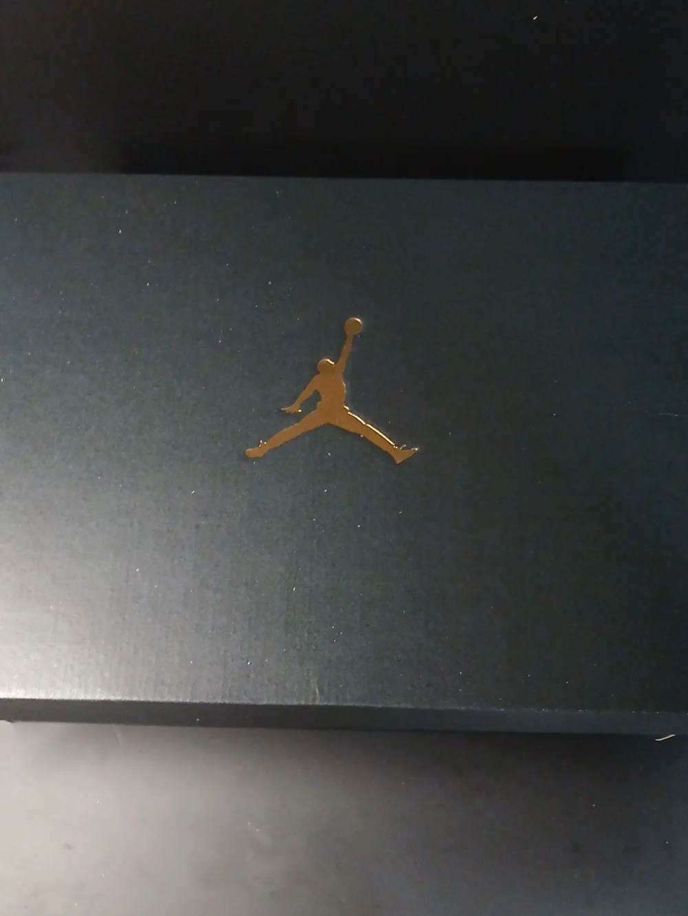 Nike Air Jordan City Boots 